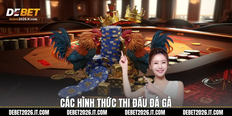 Các hình thức thi đấu Đá gà 